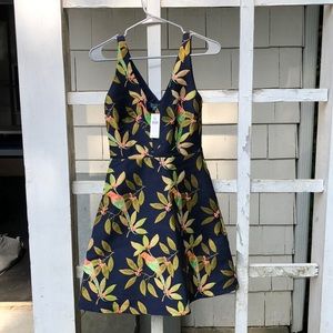 Eva Franco bird embroidered cocktail dress